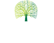 通宝TB222